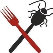 food-festival-logo|food-festival-logo|festival-exoticke-tance|hmyz-festival-olomouc|festival-hmyz-olomouc|hmyz-festival-olomouc