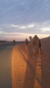 silvie-dubaj-rozhovor
