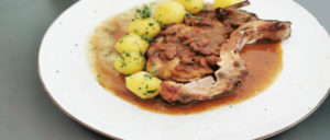 Recenze-zas-a-znova-pokrm